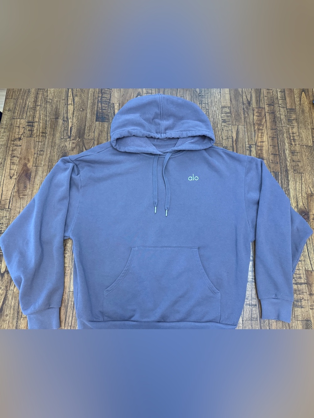 ALO Accolade Hoodie No Size Tag